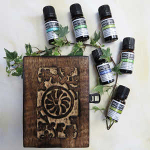 Aromatherapy Starter Gift Set Top 6 Oils