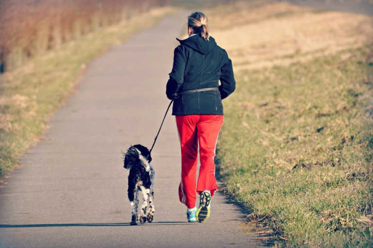 Read more about the article How to Get Fit and Stay Trim With Your Dog