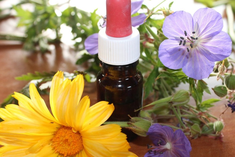 Brief Guide to Flower Essence Therapy