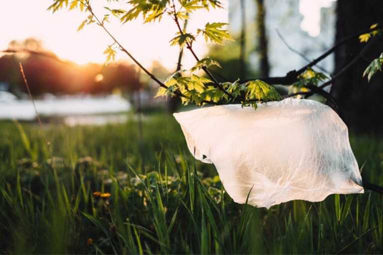 Read more about the article 6 Ways to go Plastic-free on Day Trips