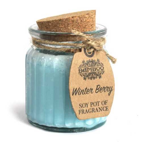 Soy Fragrance Candle - Winter Berry