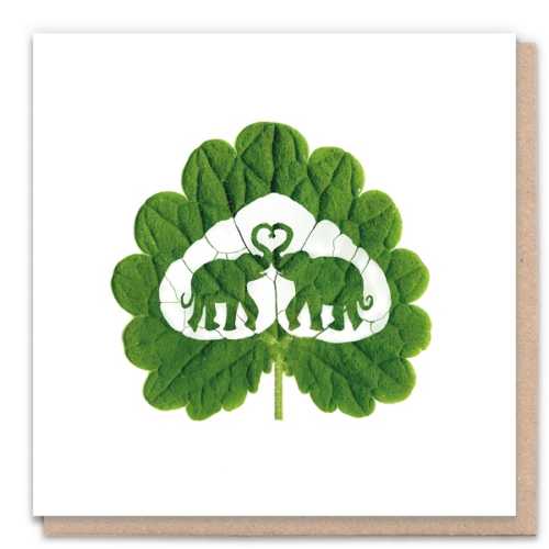 Elephant Love Eco-Friendly Greeting Card
