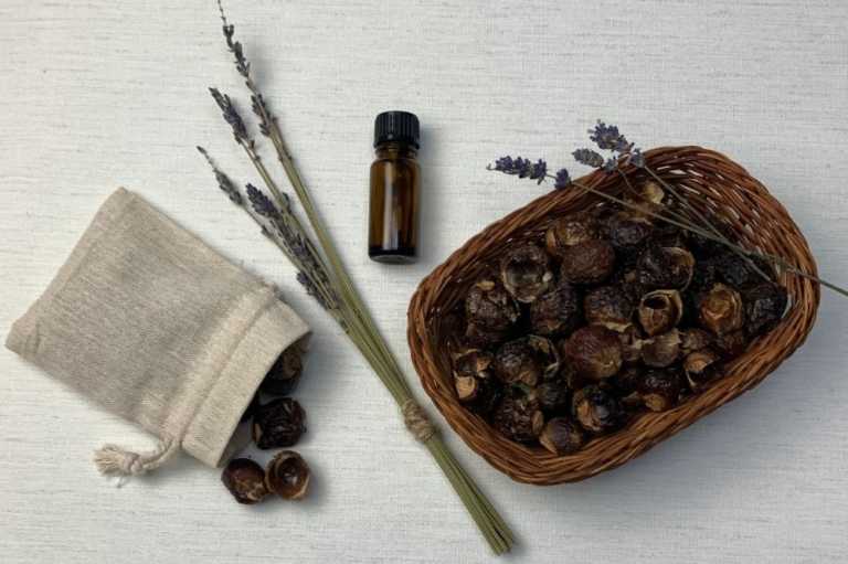 Read more about the article What are Soap Nuts : A guide to Using Soapnuts