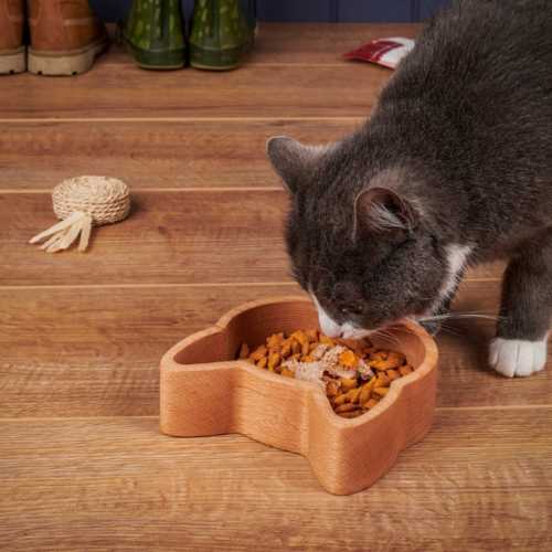 The Wood Life Project Wooden Cat Food Bowl