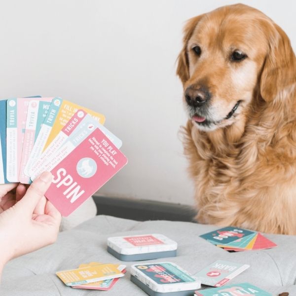 Tricks & Trivia Game for Humans and Dogs lifestyle
