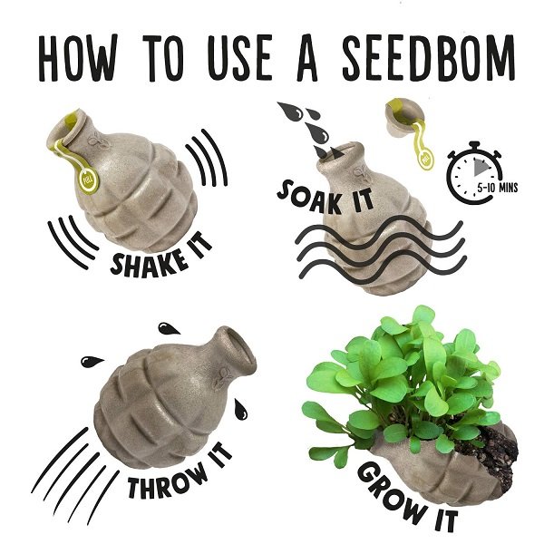Kabloom Seedbom How to Use