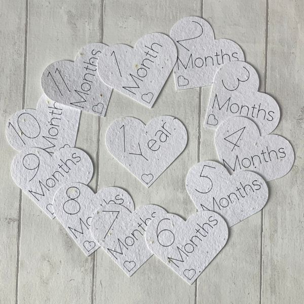 Plantable Seed Paper Baby Milestone cards all 12