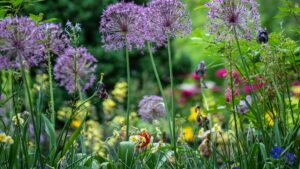 Read more about the article Eco-Friendly Ways to Transform Your Garden