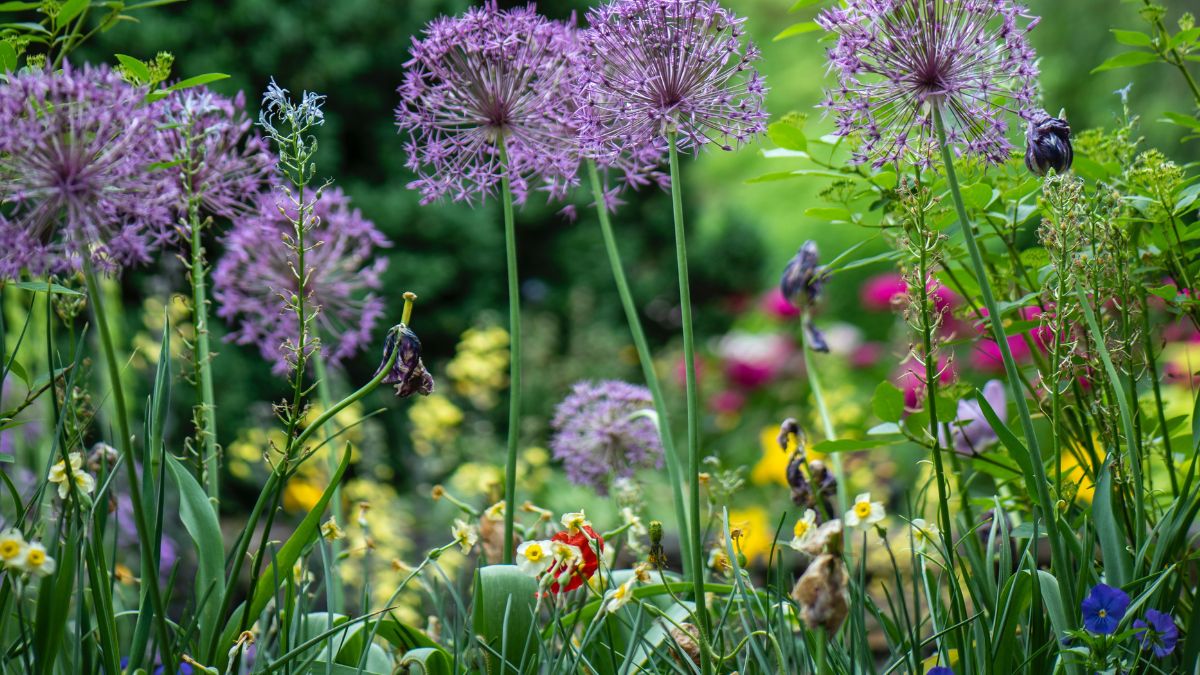 You are currently viewing Eco-Friendly Ways to Transform Your Garden