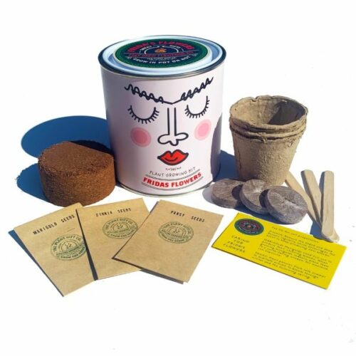 Fridas Flowers Grow Your Own Plant Kit