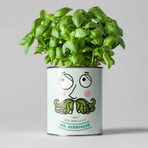 Mr Herby Head Grow Your Own Plant Kit