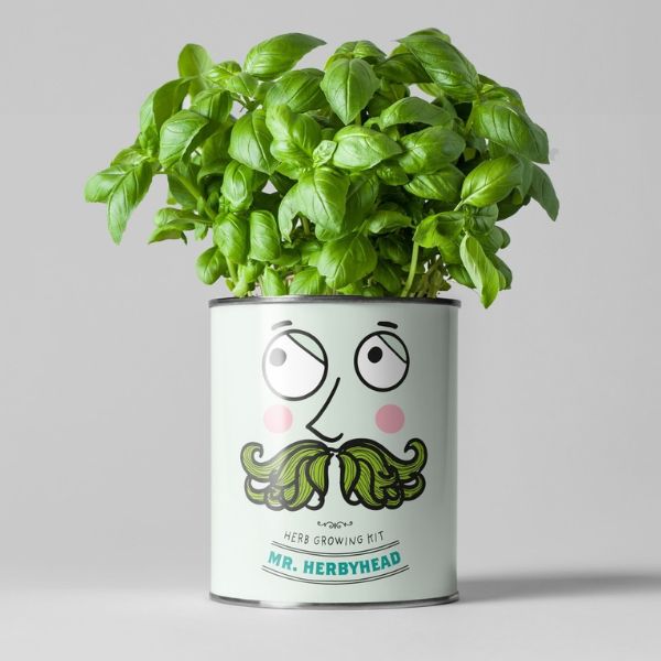 Mr Herby Head Grow Your Own Plant Kit