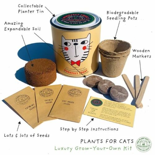 Purrfect Cat Treat Grow Your Own Plant Kit