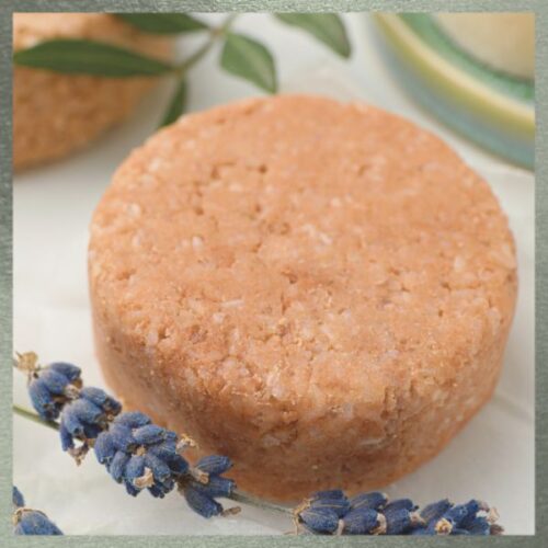 Shampoo Bars Ethical Shopping